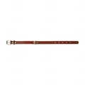 Нашийник Collar 02296 подвійний коричневий, 25 мм * 38-50 см