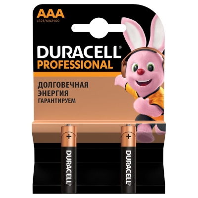 Батарейка Duracell LR03 AAA, 2 штуки
