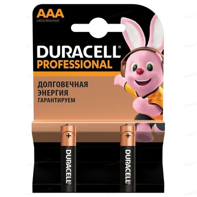Батарейка Duracell LR03 AAA, 2 штуки