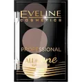 Набір для брів Eveline All in One Professional №01 Темно-коричневий, 28.8 г