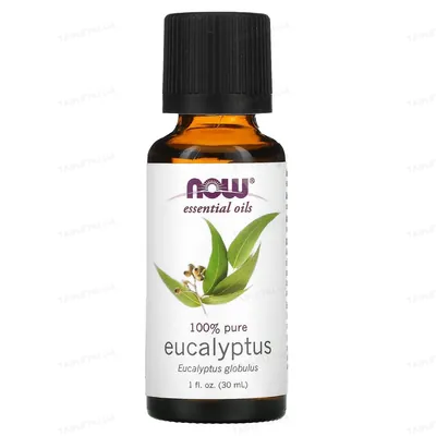 Ефірна олія евкаліпту Now Essential Oils Eucalyptus, 30 мл