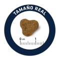 Корм сухой для йоркширских терьеров Advance Dog Yorkshire с курицей и рисом, 1,5 кг
