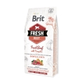 Корм сухой Brit Fresh Growth & Joints для щенков и молодых собак крупных пород с говядиной и тыквой, 2,5 кг