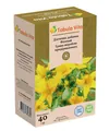 Фіточай Tabula Vita звіробою трава, 40 г
