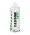 Хлорофилл MST Nutrition Chlorophyll Liquid, 1000 мл