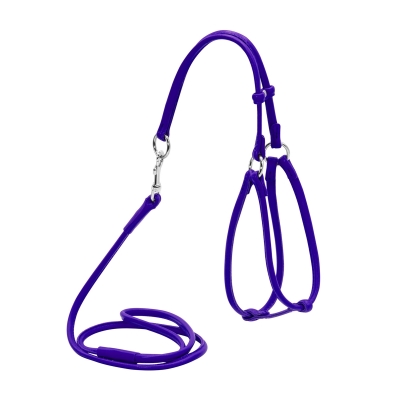 Шлея для мелких собак и кошек Collar WAUDOG Glamour с поводком 6 мм 105 см, фиолетовая