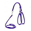 Шлея для дрібних собак і кішок Collar WAUDOG Glamour з повідцем 6 мм 105 см, фіолетова