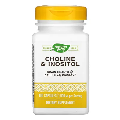 Холін і Інозитол Nature`s Way Choline & Inositol, 100 капсул