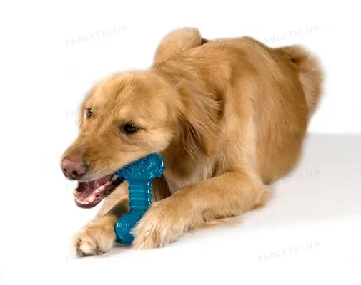 Іграшка для собак Petstages Orka Bone pt230 Кісточка з канатиком, велика
