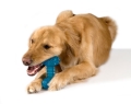 Игрушка для собак Petstages Orka Bone pt230 Косточка с канатиком, большая