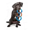 Іграшка для собак Petstages Orka Dentalinks pt68116 Кільця для зубів