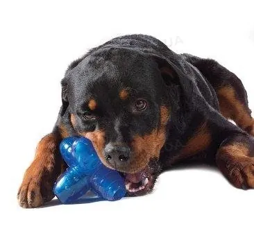 Іграшка для собак Petstages Orka Jack pt127 велика