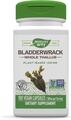 Ламинария (фукус пузырчатый) Nature's Way Bladderwrack 580 мг, 100 вегетарианских капсул