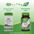 Толокнянка Nature's Way Uva Ursi Leaves, 100 веганских капсул