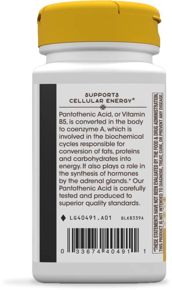 Пантотеновая кислота Nature's Way Pantothenic Acid (Vitamin B5) 250 мг, 100 капсул