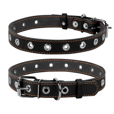 Нашийник Collar 02441 безрозмірний, ширина 25 мм, довжина 60 см, чорний