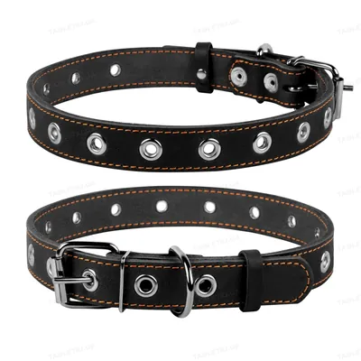 Нашийник Collar 02441 безрозмірний, ширина 25 мм, довжина 60 см, чорний