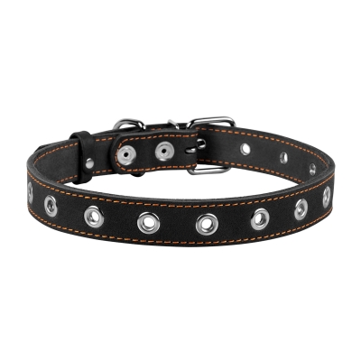 Ошейник Collar 02441 безразмерный, ширина 25 мм, длина 60 см, чёрный