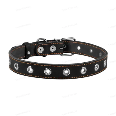 Нашийник Collar 02441 безрозмірний, ширина 25 мм, довжина 60 см, чорний