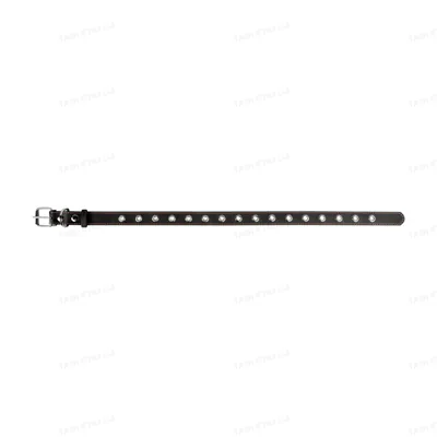 Нашийник Collar 02441 безрозмірний, ширина 25 мм, довжина 60 см, чорний