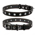 Нашийник Collar 02441 безрозмірний, ширина 25 мм, довжина 60 см, чорний