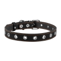 Ошейник Collar 02441 безразмерный, ширина 25 мм, длина 60 см, чёрный