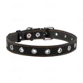 Нашийник Collar 02441 безрозмірний, ширина 25 мм, довжина 60 см, чорний