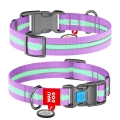 Ошейник Collar 45629 WAUDOG Nylon светонакопительный, ширина 15 мм, длина 23-35 см, фиолетовый