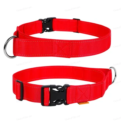 Нашийник Collar 67053 DOG Extreme з ручкою, нейлон ширина 40 мм