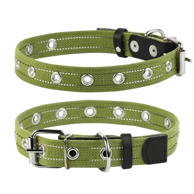Ошейник Collar 6755 безразмерный, зеленый 25 мм *53 см