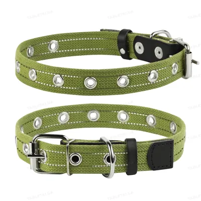 Нашийник Collar 6755 безрозмірний, зелений 25 мм * 5 см