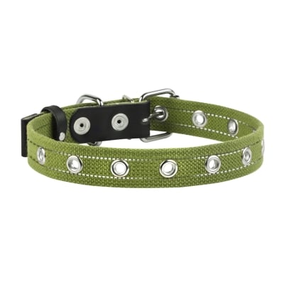 Ошейник Collar 6755 безразмерный, зеленый 25 мм *53 см