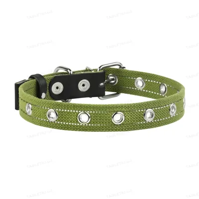 Нашийник Collar 6755 безрозмірний, зелений 25 мм * 5 см