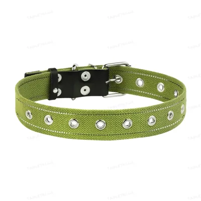 Нашийник Collar 6756 безрозмірний, 35 мм * 66 см