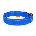 Нашийник Collar DOG Extreme 6136 подвійний нейлон, 20 мм * 35-45см