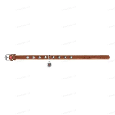 Нашийник Collar Soft 7213 з шипами коричневий, 35 мм * 50-62 см