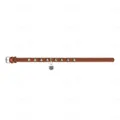 Нашийник Collar Soft 7213 з шипами коричневий, 35 мм * 50-62 см