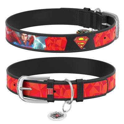 Ошейник Collar WAUDOG Design Супермен1, кожаный, металлическая пряжка, ширина 12 мм, длина 19-25 см, черный