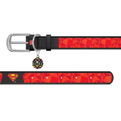Ошейник Collar WAUDOG Design Супермен1, кожаный, металлическая пряжка, ширина 12 мм, длина 19-25 см, черный
