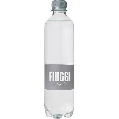 Вода мінеральна Fiuggi негазована лікувальна, 0,5 л
