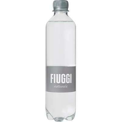 Вода мінеральна Fiuggi негазована лікувальна,  0,5 л