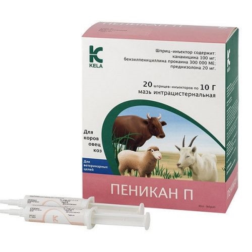 Пеникан П (ДЛЯ ЖИВОТНЫХ) 10 г шприц-инжектор