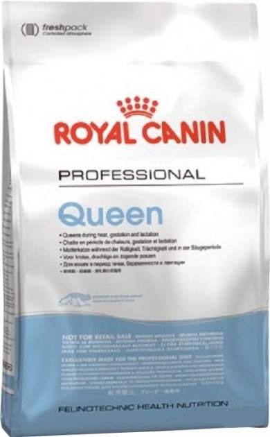 Корм сухой для кошек Royal Canin Queen в период беременности и лактации, 4 кг