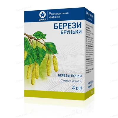 Берези бруньки по 20 г у пач. з внут. пак.