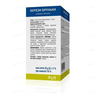 Берези бруньки по 20 г у пач. з внут. пак.