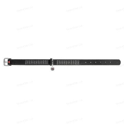 Нашийник Collar WAUDOG Soft з металевими прикрасами ширина 35 мм, довжина 57-71 см, чорний