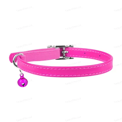Нашийник для кошенят Collar 32487 WAUDOG Glamour з резинкою, ширина 9 мм довжина 22-30 см, рожевий