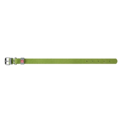 Ошейник для собак Collar WAUDOG Classic кожаный, металлическая пряжка, ширина 20 мм, длина 30-39 см, салатовый