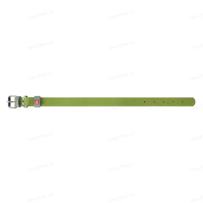 Нашийник для собак Collar WAUDOG Classic шкіряний, металева пряжка, ширина 20 мм, довжина 30-39 см, салатовий