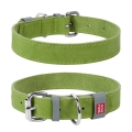 Ошейник для собак Collar WAUDOG Classic кожаный, металлическая пряжка, ширина 20 мм, длина 30-39 см, салатовый